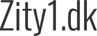 Zity1 logo
